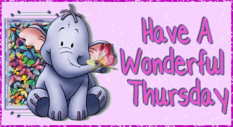 Cute Elephant Have Wonderful Day GIF