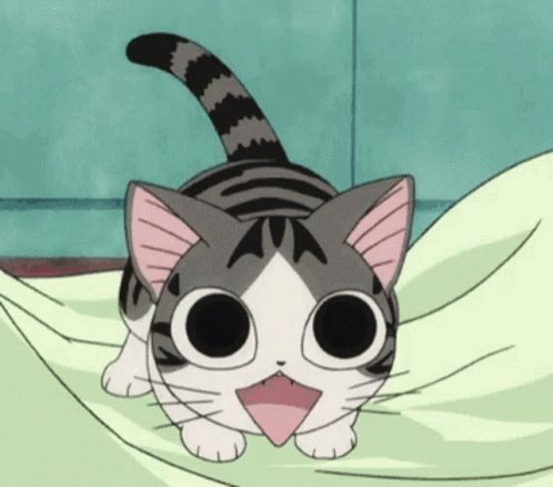 Cute Excited Anticipation Cartoon Cat GIF