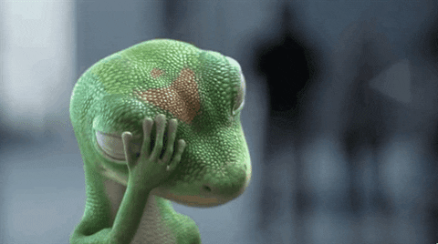 Cute Frustrated Gecko Oy Vey GIF