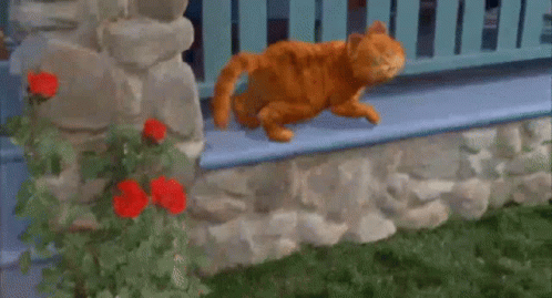 Cute Garfield Dancing Outside The House GIF