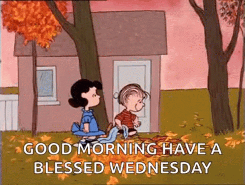 Cute Good Morning Wednesday Fall Season GIF
