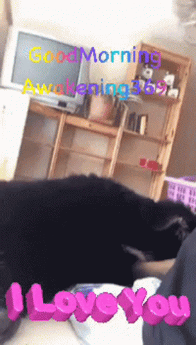 Cute Good Morning Wednesday Flappy Ears GIF