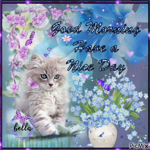 Cute Good Morning Wednesday Fluffy Cat GIF