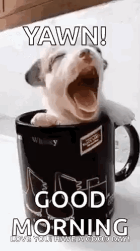 Cute Good Morning Wednesday Pup In Mug GIF