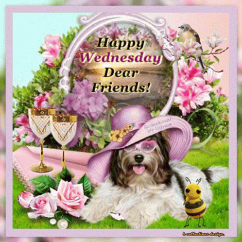 Cute Good Morning Wednesday Pup Wearing Hat GIF