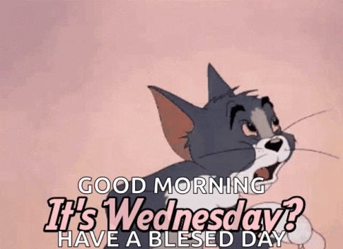 Cute Good Morning Wednesday Scared Tom GIF