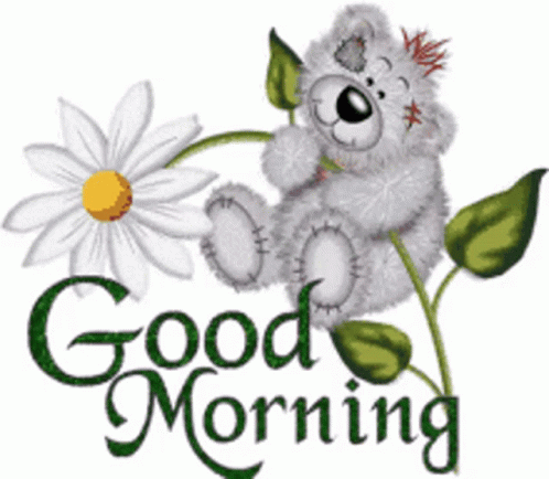 Cute Good Morning Wednesday Teddy Bear Hug GIF