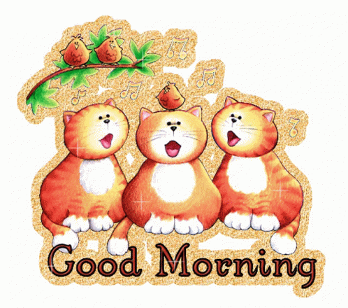 Cute Good Morning Wednesday Three Orange Cats GIF