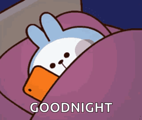 Cute Good Night Slumbering Bunny GIF