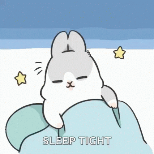 Cute Goodnight Sleep Tight Bunny GIF