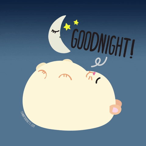 Cute Goodnight Sleepy Hamster GIF