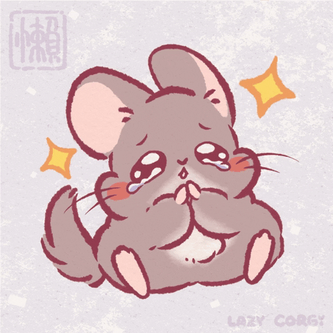 Cute Gray Fluffy Chinchilla Crying GIF