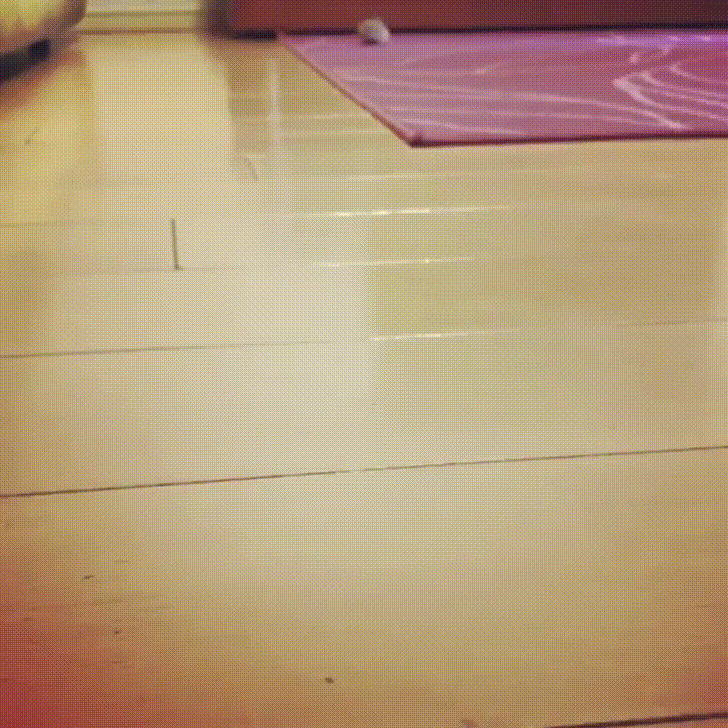 Cute Hamster Slide On The Floor GIF