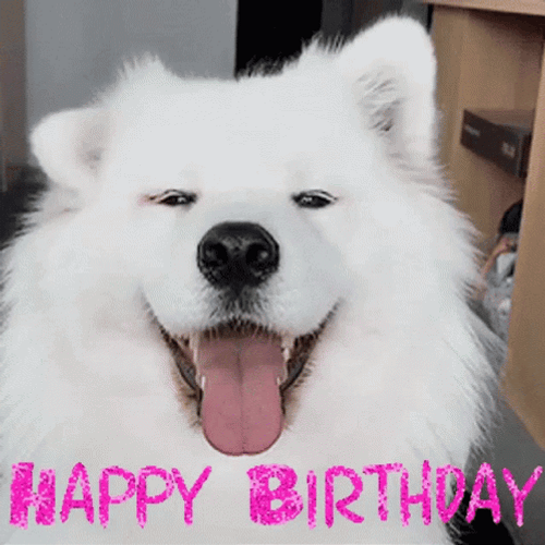 Cute Happy Birthday Dog Moving Ears GIF