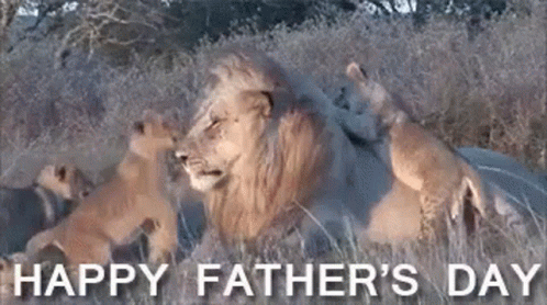 Cute Happy Fathers Day Lion Family GIF