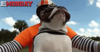 Cute Happy Monday Bike Riding Bully GIF