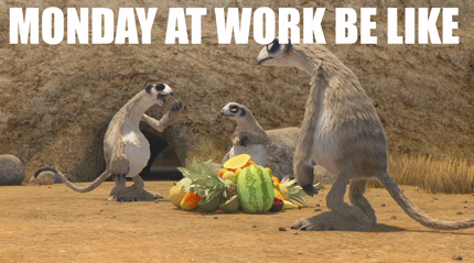 Cute Happy Monday Lazy Meerkats GIF