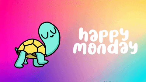 Cute Happy Monday Slow Moving Turtle GIF