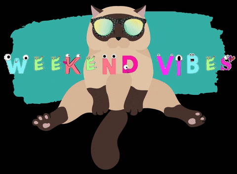 Cute Happy Saturday Sitting Cat With Eye Mask GIF