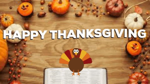 Cute Happy Thanksgiving Beautiful Turkey GIF
