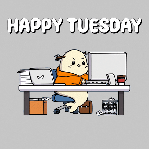 Cute Happy Tuesday Busy Seal Working GIF