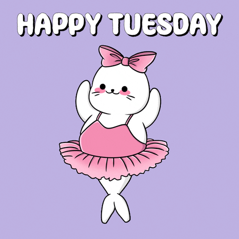 Cute Happy Tuesday Cat Dancing Ballet GIF