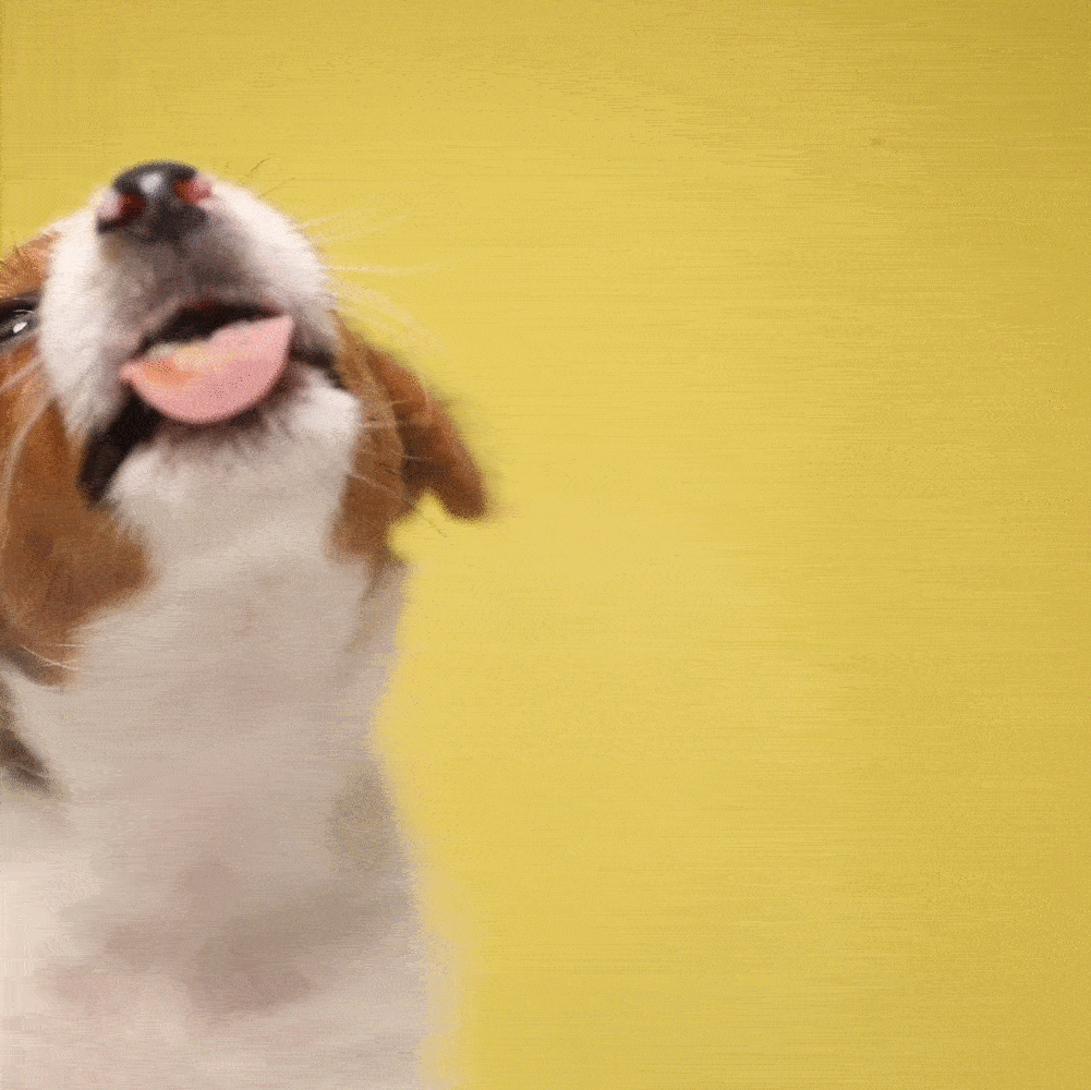 Cute Happy Tuesday Licking Tongue Out GIF