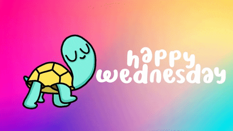 Cute Happy Wednesday Cartoon Turtle GIF