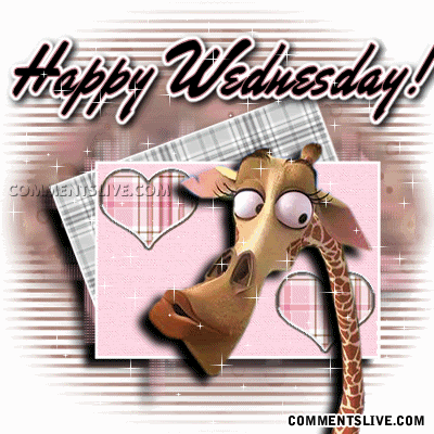 Cute Happy Wednesday Giraffe GIF