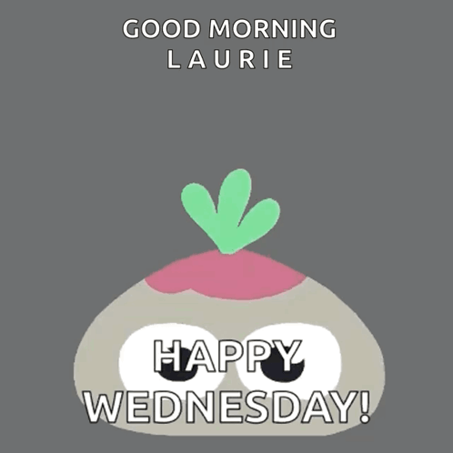 Cute Happy Wednesday Laurie GIF