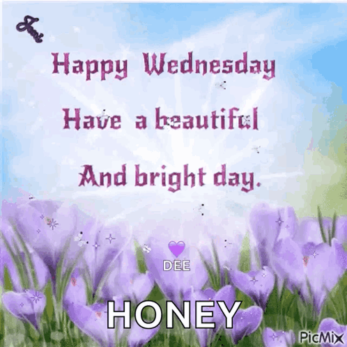 Cute Happy Wednesday Purple Flower GIF
