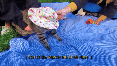 Cute Hat Moving GIF