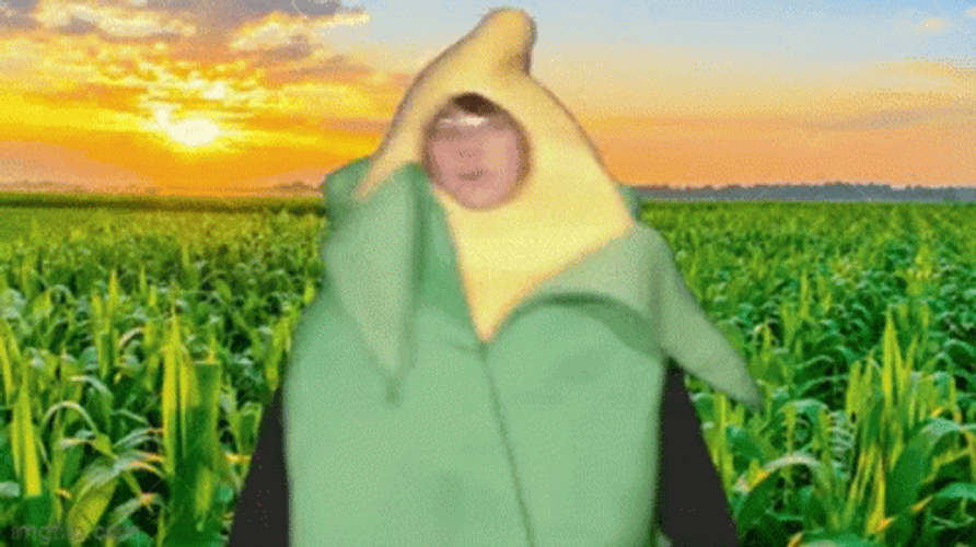 Cute Kid In Corn Suit Dancing GIF
