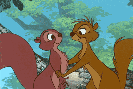 Cute Kissing Squirrels GIF