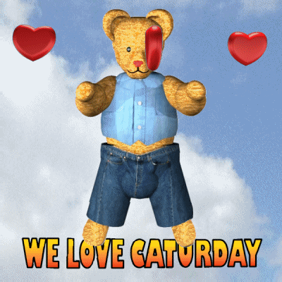 Cute Kitten In Bear Pocket Graphic Design GIF