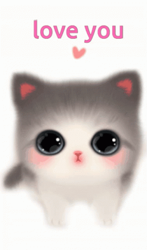 Cute Kitten Love You GIF 