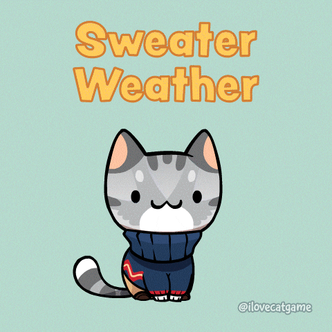 Cute Kitten Wearing Sweater Weather GIF