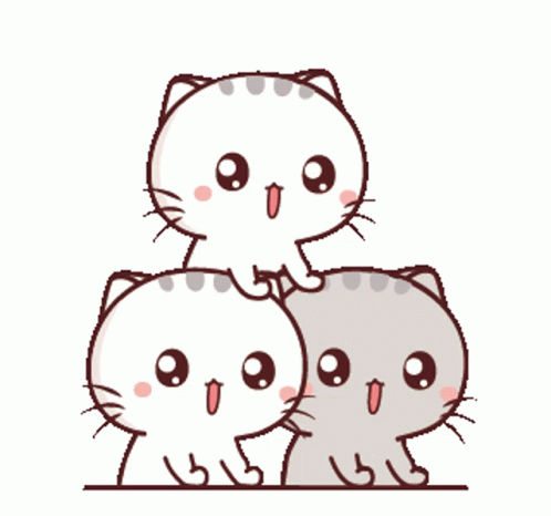 Cute Kitty Group Of Three GIF