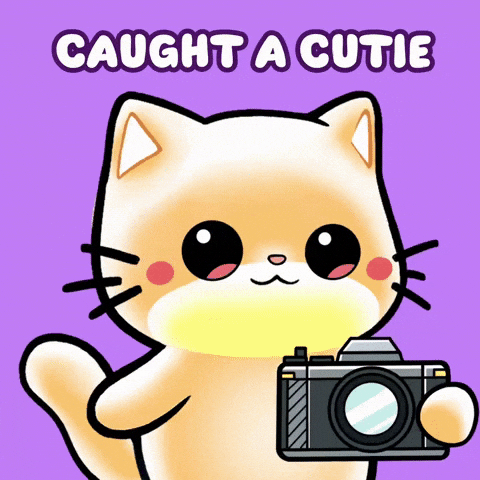 Cute Kitty Taking Pictures GIF