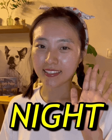Cute Korean Night Night GIF