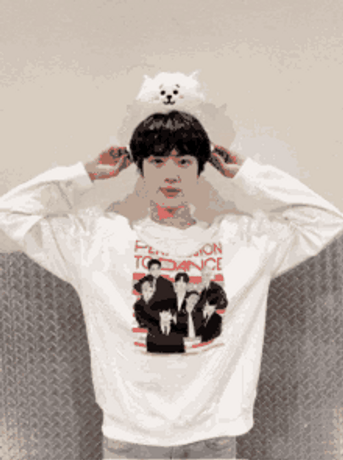 Cute Korean Star Jin GIF