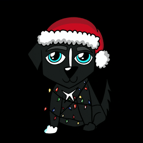 Cute Little Hat Christmas Dog GIF