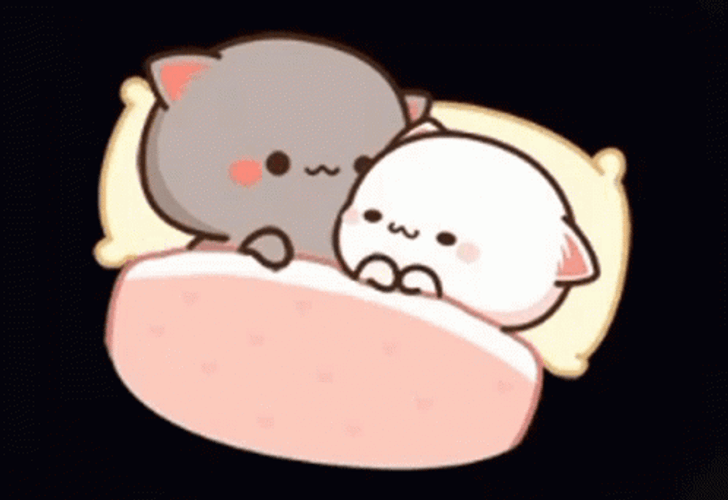 Cute Love Cat Kiss In Bed GIF