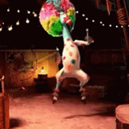 Cute Madagascar Afro Circus Dancing GIF