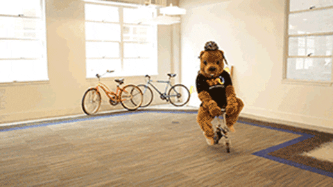Cute Mascot Bear Riding Cycle GIF