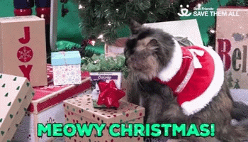 Cute Merry Christmas Cat Costume GIF