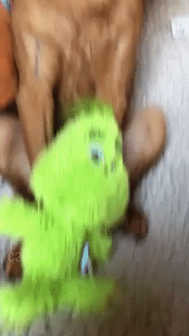 Cute Brown Dog Merry Christmas GIF