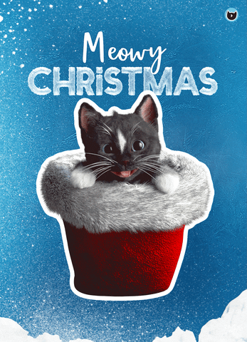 Cute Cat On Hat Merry Christmas GIF