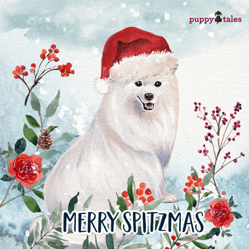 Cute Merry Spitzmas Christmas Dog GIF
