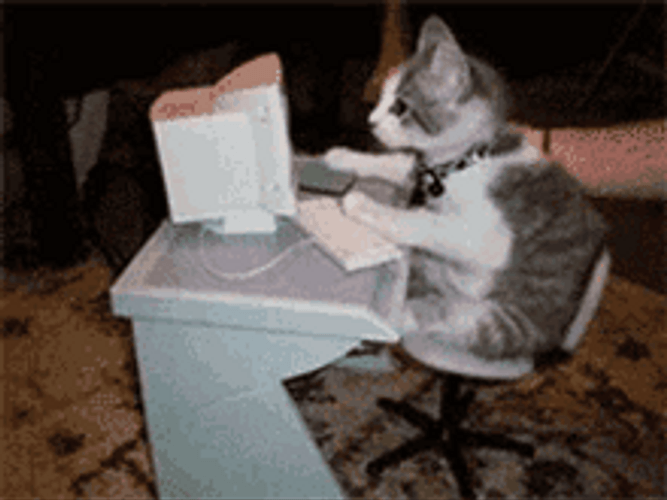 Cute Mini Typing Cat GIF